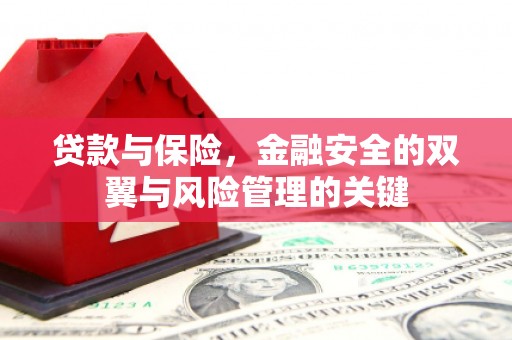 宁陵贷款与保险，金融安全的双翼与风险管理的关键