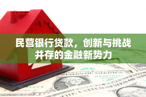 宁陵民营银行贷款，创新与挑战并存的金融新势力