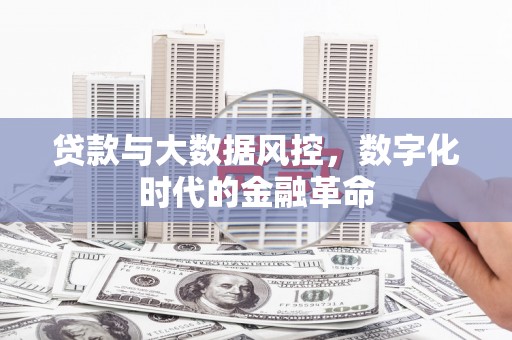 宁陵贷款与大数据风控，数字化时代的金融革命
