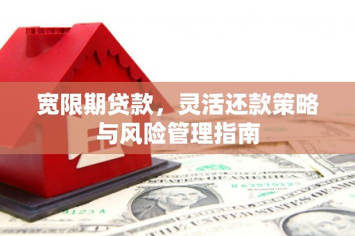 宁陵宽限期贷款，灵活还款策略与风险管理指南