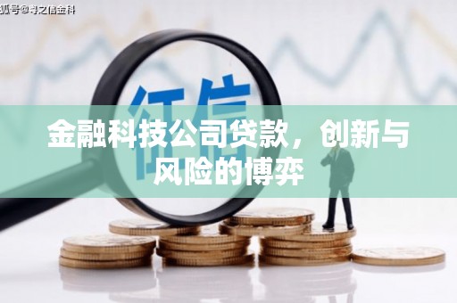 宁陵金融科技公司贷款，创新与风险的博弈