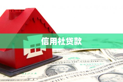 宁陵信用社贷款