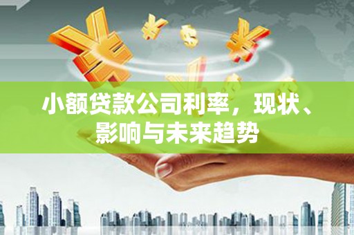 宁陵小额贷款公司利率，现状、影响与未来趋势