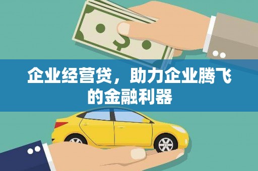 宁陵企业经营贷，助力企业腾飞的金融利器