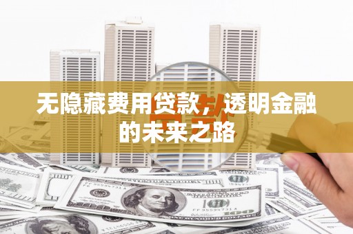 宁陵无隐藏费用贷款，透明金融的未来之路