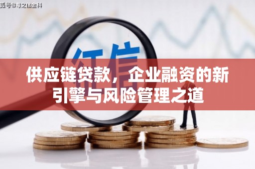 宁陵供应链贷款，企业融资的新引擎与风险管理之道
