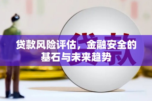 宁陵贷款风险评估，金融安全的基石与未来趋势