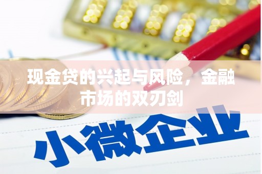 宁陵现金贷的兴起与风险，金融市场的双刃剑
