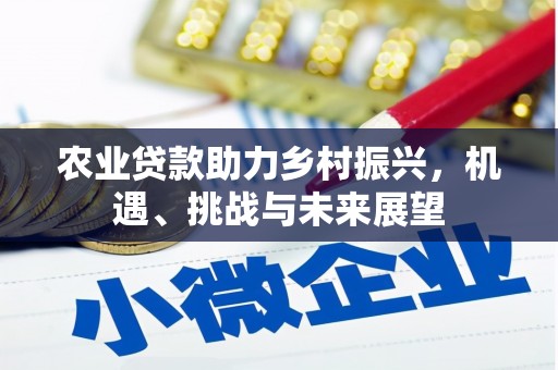 宁陵农业贷款助力乡村振兴，机遇、挑战与未来展望