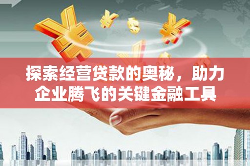 宁陵探索经营贷款的奥秘，助力企业腾飞的关键金融工具