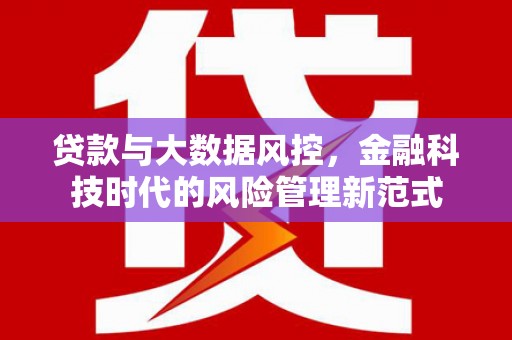 宁陵贷款与大数据风控，金融科技时代的风险管理新范式