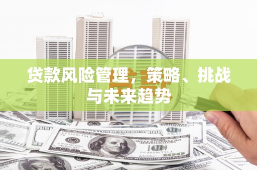宁陵贷款风险管理，策略、挑战与未来趋势