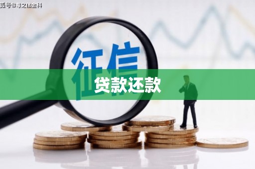 宁陵贷款还款