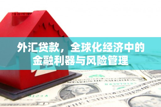 宁陵外汇贷款，全球化经济中的金融利器与风险管理