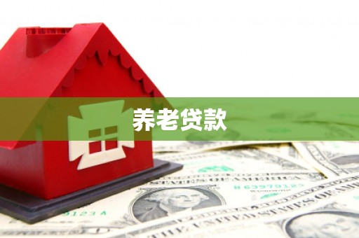 宁陵养老贷款