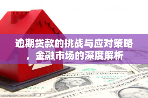 宁陵逾期贷款的挑战与应对策略，金融市场的深度解析