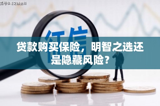 宁陵贷款购买保险，明智之选还是隐藏风险？