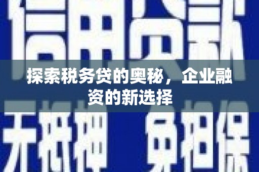 宁陵探索税务贷的奥秘，企业融资的新选择