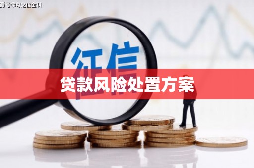 宁陵贷款风险处置方案
