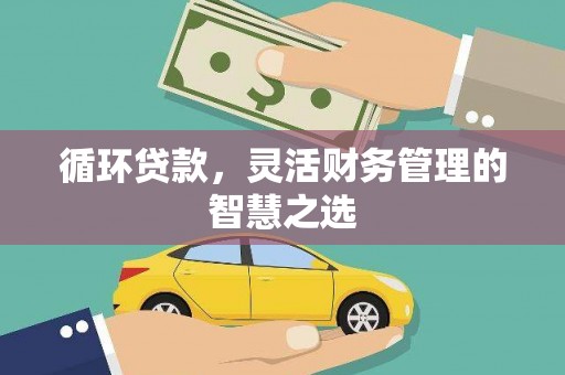 宁陵循环贷款，灵活财务管理的智慧之选
