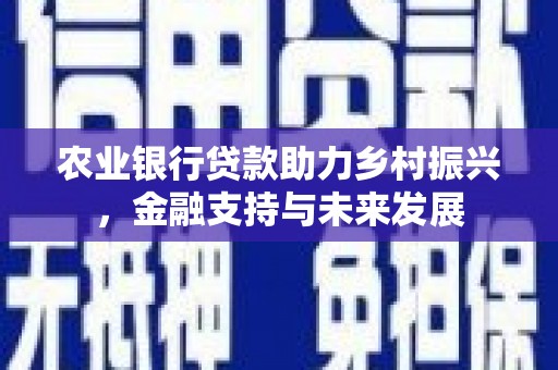 宁陵农业银行贷款助力乡村振兴，金融支持与未来发展