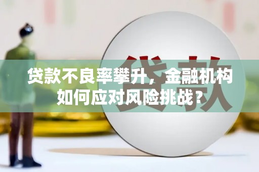 宁陵贷款不良率攀升，金融机构如何应对风险挑战？