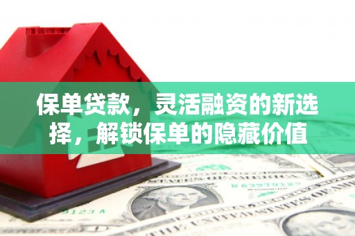 宁陵保单贷款，灵活融资的新选择，解锁保单的隐藏价值