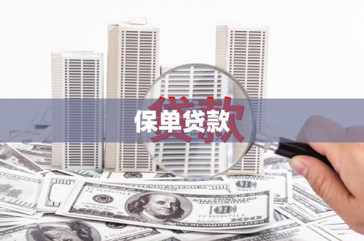 宁陵保单贷款