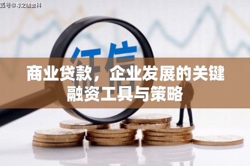 宁陵商业贷款，企业发展的关键融资工具与策略