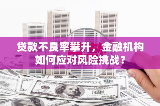宁陵贷款不良率攀升，金融机构如何应对风险挑战？