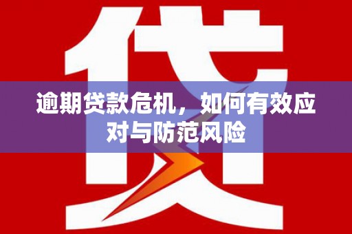 宁陵逾期贷款危机，如何有效应对与防范风险