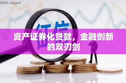 宁陵资产证券化贷款，金融创新的双刃剑