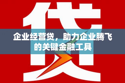 宁陵企业经营贷，助力企业腾飞的关键金融工具