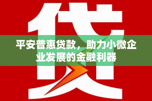 宁陵平安普惠贷款，助力小微企业发展的金融利器