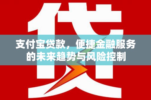 宁陵支付宝贷款，便捷金融服务的未来趋势与风险控制