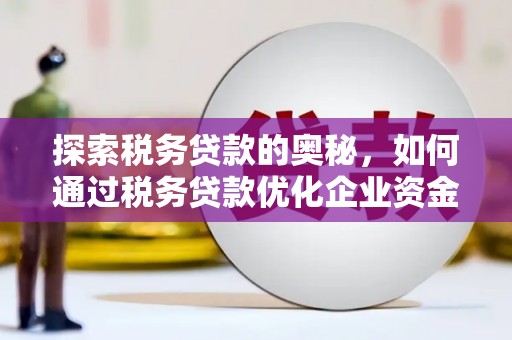 宁陵探索税务贷款的奥秘，如何通过税务贷款优化企业资金流