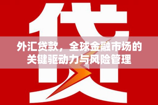 宁陵外汇贷款，全球金融市场的关键驱动力与风险管理