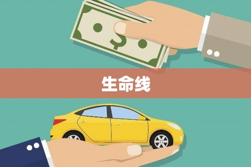 宁陵生命线