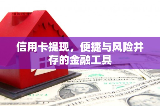 宁陵信用卡提现，便捷与风险并存的金融工具