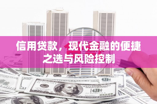 宁陵信用贷款，现代金融的便捷之选与风险控制
