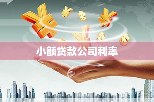 宁陵小额贷款公司利率