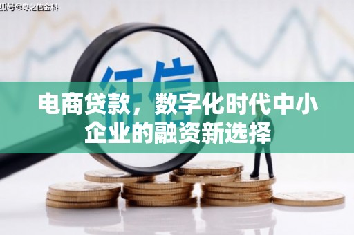 宁陵电商贷款，数字化时代中小企业的融资新选择