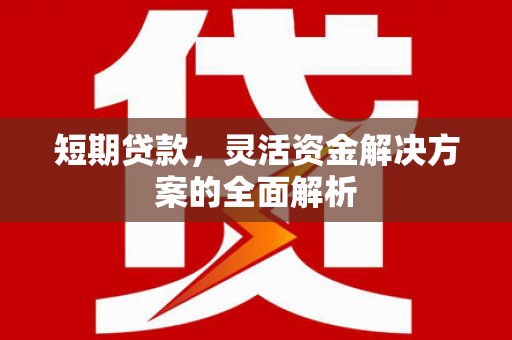宁陵短期贷款，灵活资金解决方案的全面解析