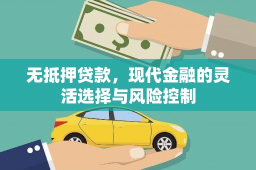 宁陵无抵押贷款，现代金融的灵活选择与风险控制