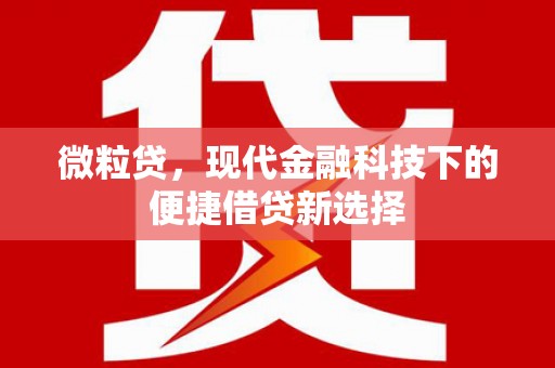 宁陵微粒贷，现代金融科技下的便捷借贷新选择