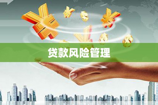 宁陵贷款风险管理