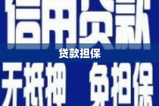 宁陵贷款担保