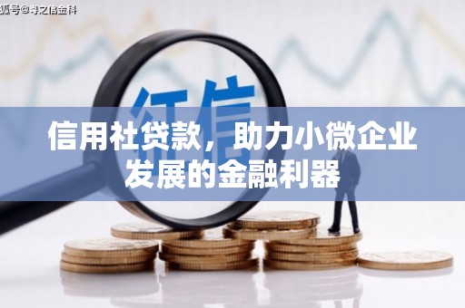 宁陵信用社贷款，助力小微企业发展的金融利器