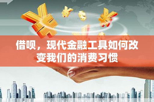 宁陵借呗，现代金融工具如何改变我们的消费习惯
