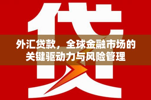 宁陵外汇贷款，全球金融市场的关键驱动力与风险管理